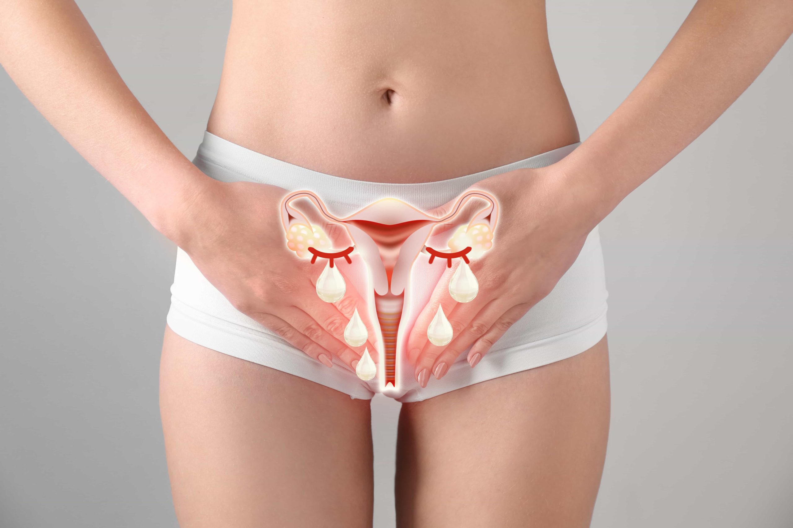 The photo of uterus is on the woman's body, isolate on white background, female anatomy concept - Discover the transformative options available for Female Vaginal Rejuvenation and renew your confidence. Reclaim your sensuality with our expert guide | Female Vaginal Rejuvenation | Ella Esthetics in Alexandria, VA